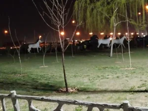 بوستان فروردین 5