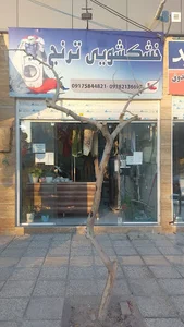 خشکشویی ترنج