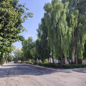 مینی پارک 2