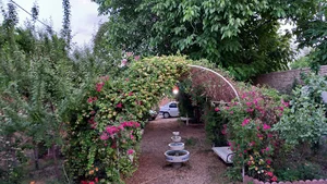 عکاسی اراعکس
