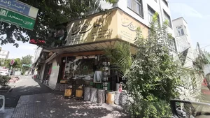 گیاهان دارویی شفا 2