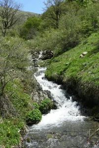 اداره برق شهرستان مهاباد