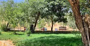 پارک بانوان
