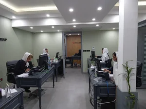 چیتیکا