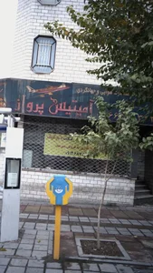 شرکت خدمات مسافرت هوایی و جهانگردی آمیتیس پرواز 2
