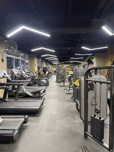 Fitness 1 body building