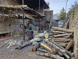 چوب بری نصرت اله زارعی