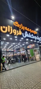 کیف کفش فروزان