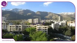 شرکت مانتره کیش