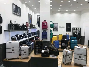 دلسی