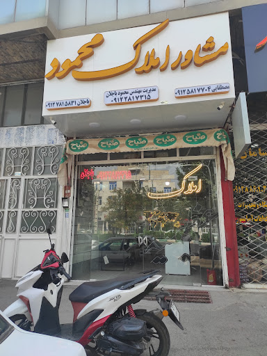 املاک محمود