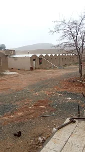 مرغداری ققنوس طلایی