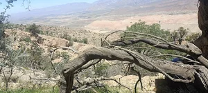 کوه سیاه
