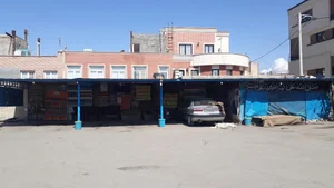 کارواش بزرگ جوان 3