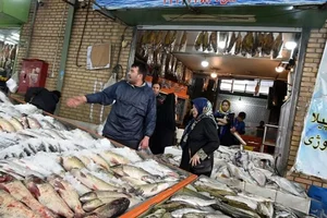 بازار ماهی بعثت