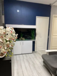 مرکز ماساژ ذِنوتن