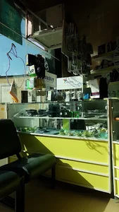 Sib Computer