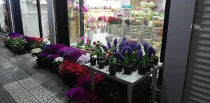 گلکده مسعود