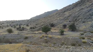 مصیری