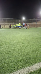 مجتمع ورزشی کامیار