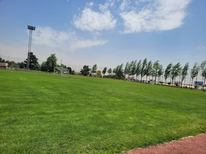 باشگاه فرهنگی ورزشی پیکان