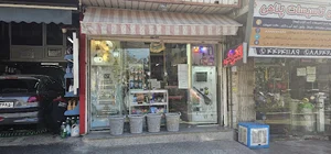 الکتریکی دوستان