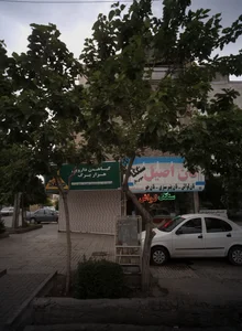 گیاهان دارویی هزار برگ