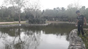 بوستان لاله