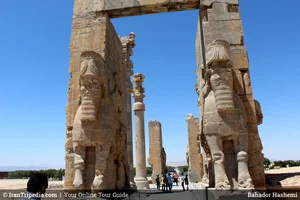 ستین طب