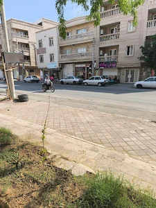 خانم گل