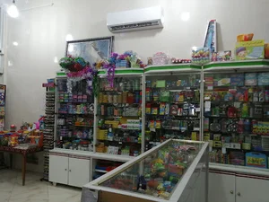 عکاسی و دفتر فنی شادی