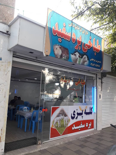 طباخی بره سفید