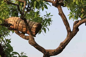 عبدل اباد