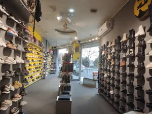 کفش زرتاب 2