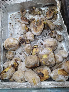 سیب زمینی سید سالاری