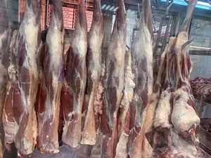 فروشگاه گوشت و مرغ میکاییل