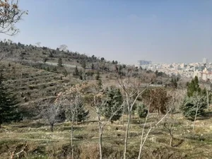 بوستان دانایی 3