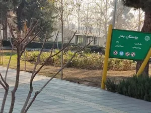 بوستان بدر 5