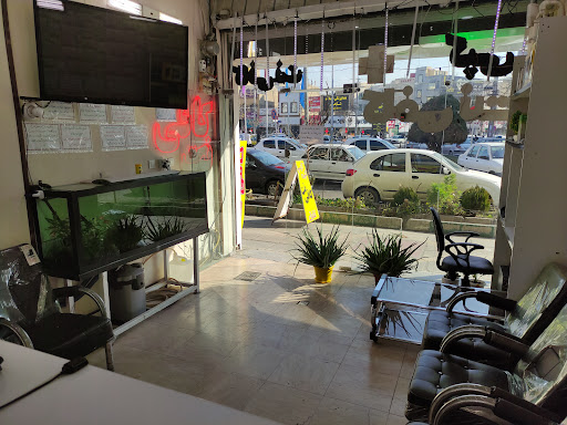 کافی نت ۷