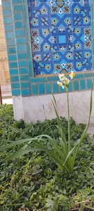 مدرسه علمیه حضرت فاطمه زهرا سلام الله علیها