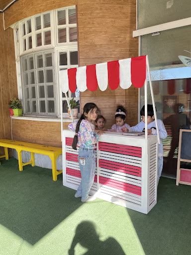 آکادمی شیدایی