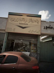 پامچال رنگ زرین 2