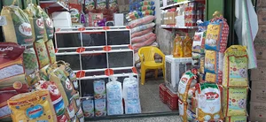 چای و برنج ریگی