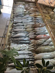 ماهی و میگو خوش خوراک