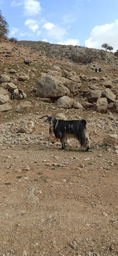 منطقه حفاظت شده تنگ بیلیطا