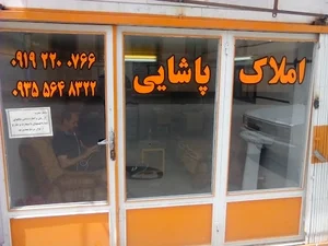 مشاور املاک پاشائی