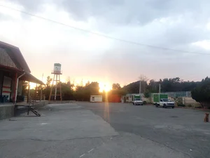شرکت لبنیات مانگا