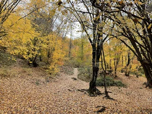 Gorgan nama