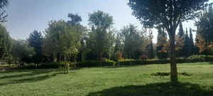 پارک شقایق 5