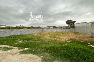 الکتریکی امواج نو